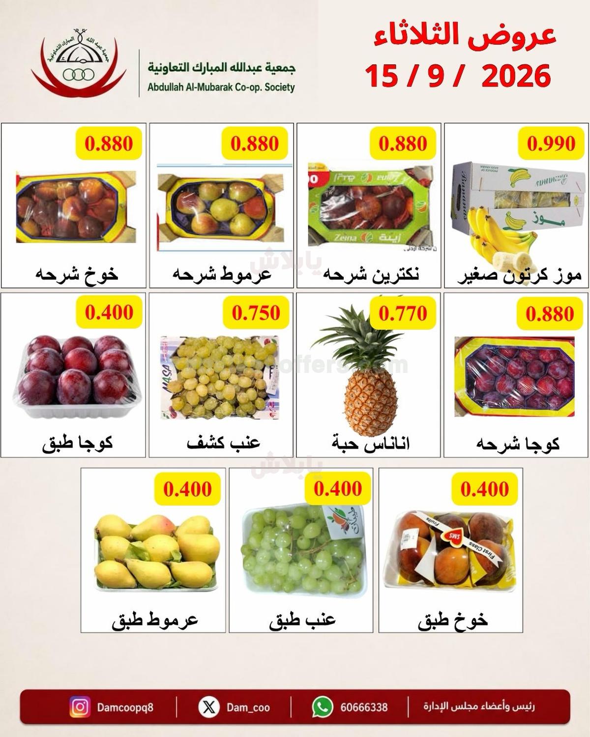 صفحة 5