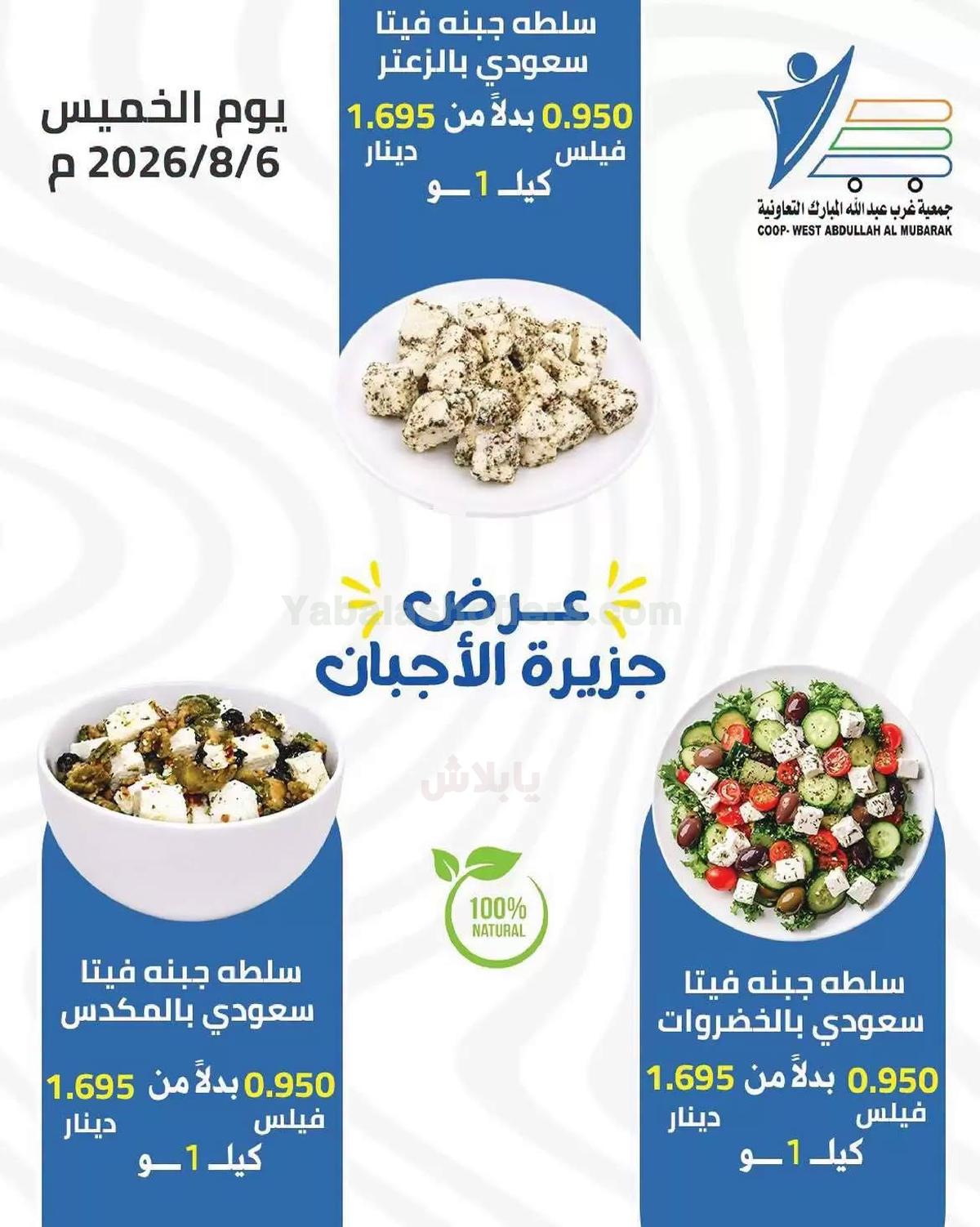 صفحة 3