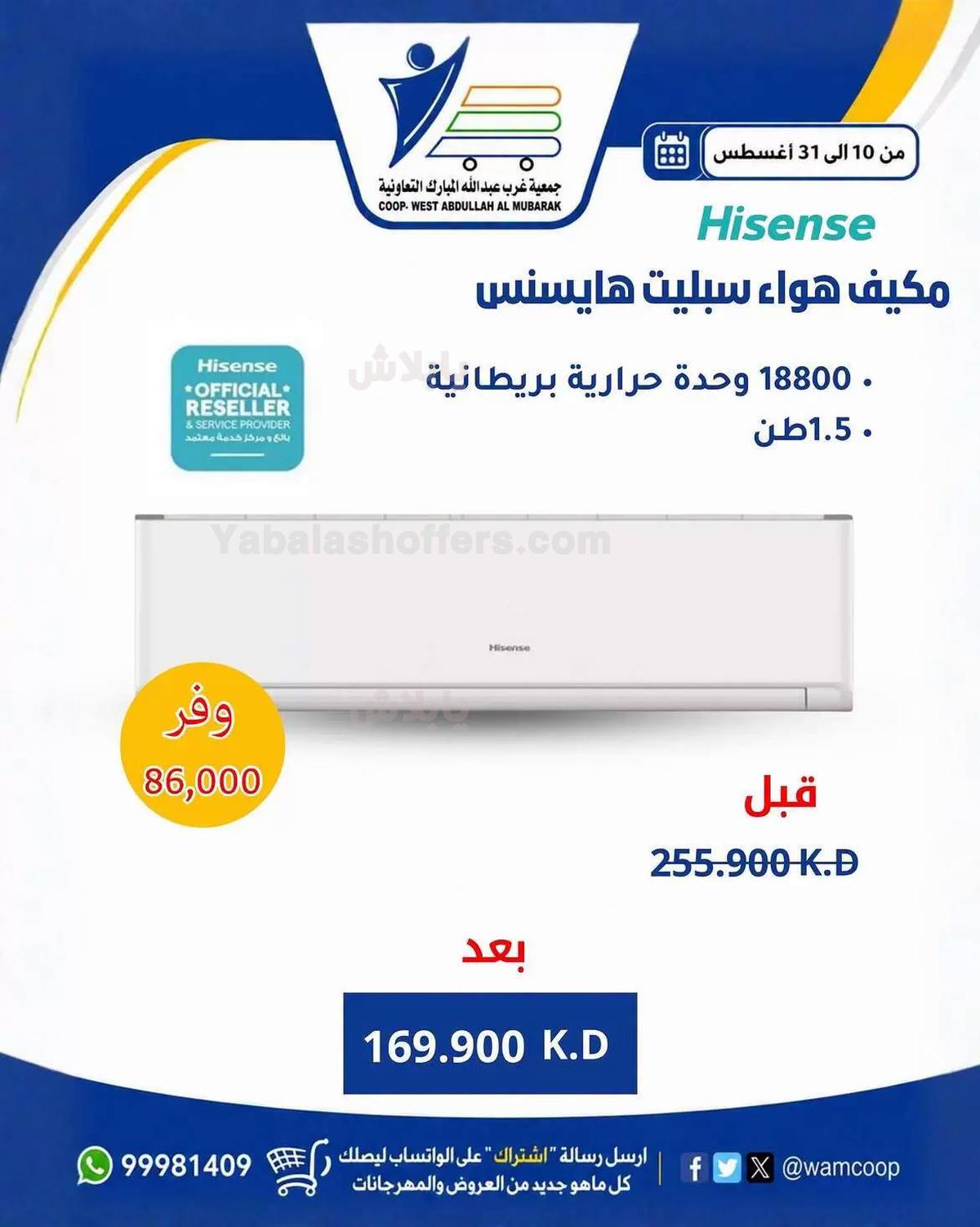 صفحة 13