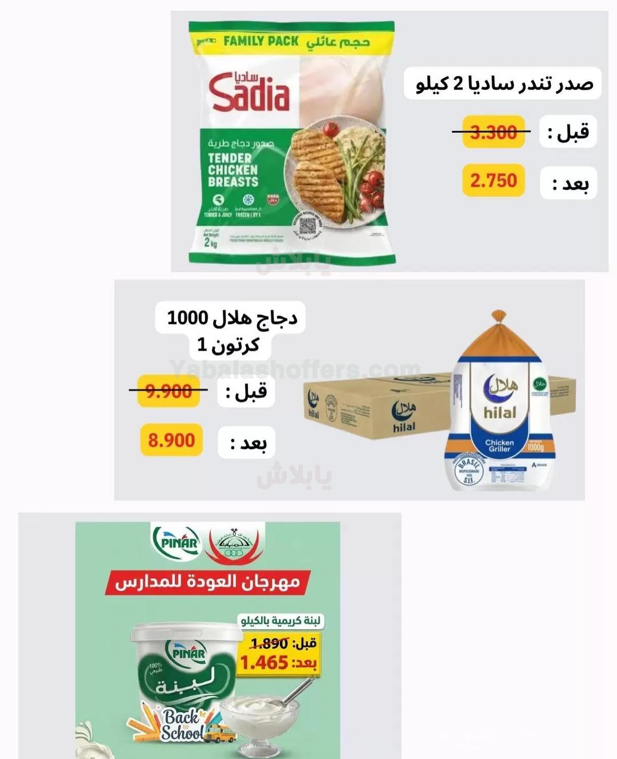 صفحة 7