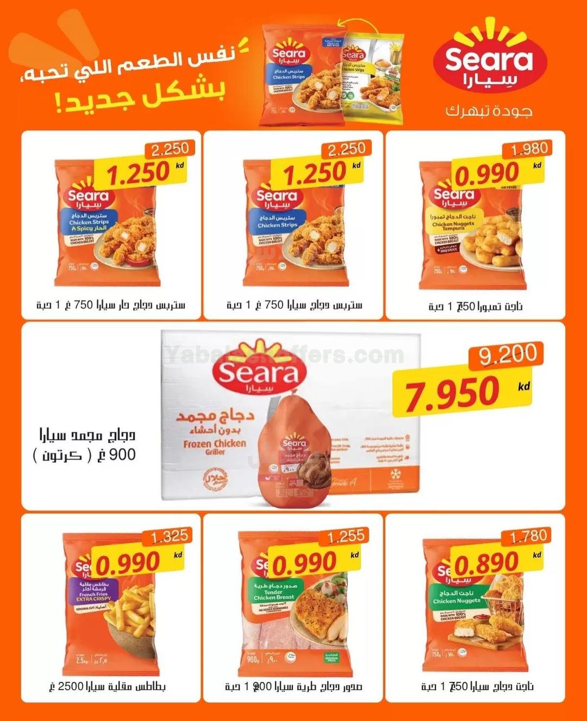 صفحة 8