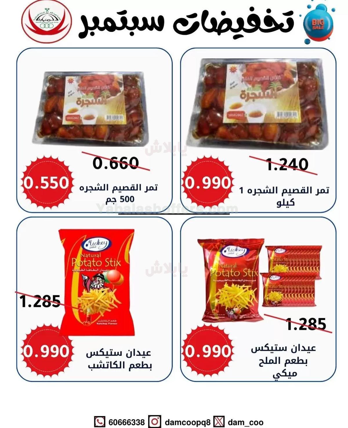 صفحة 19
