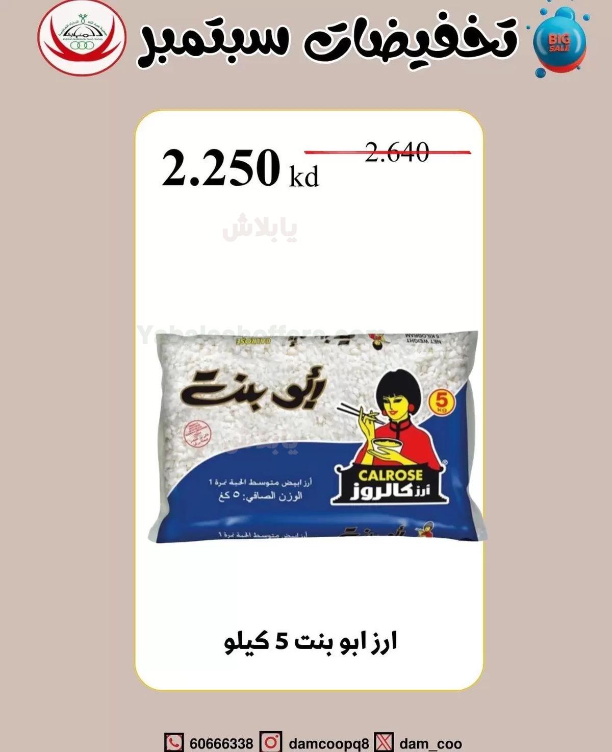 صفحة 21