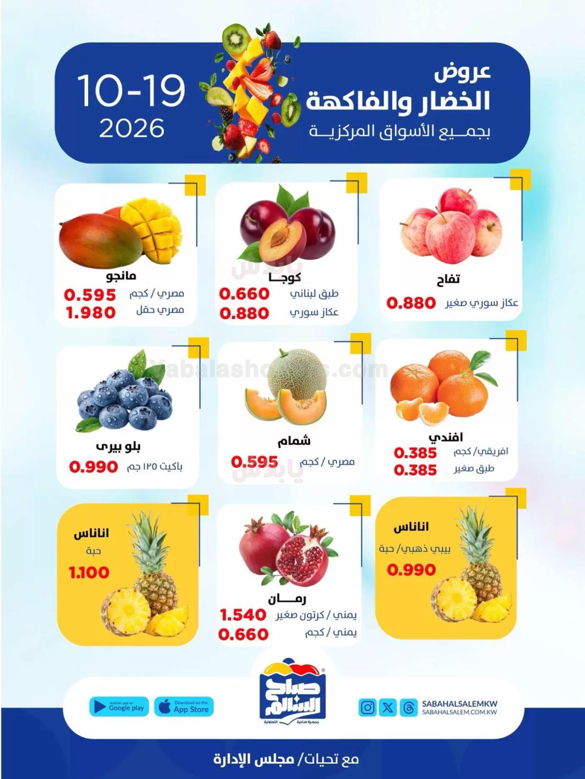 صفحة 4