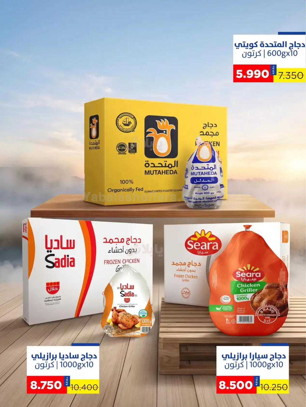 صفحة 2