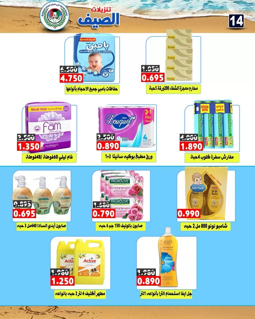 صفحة 14