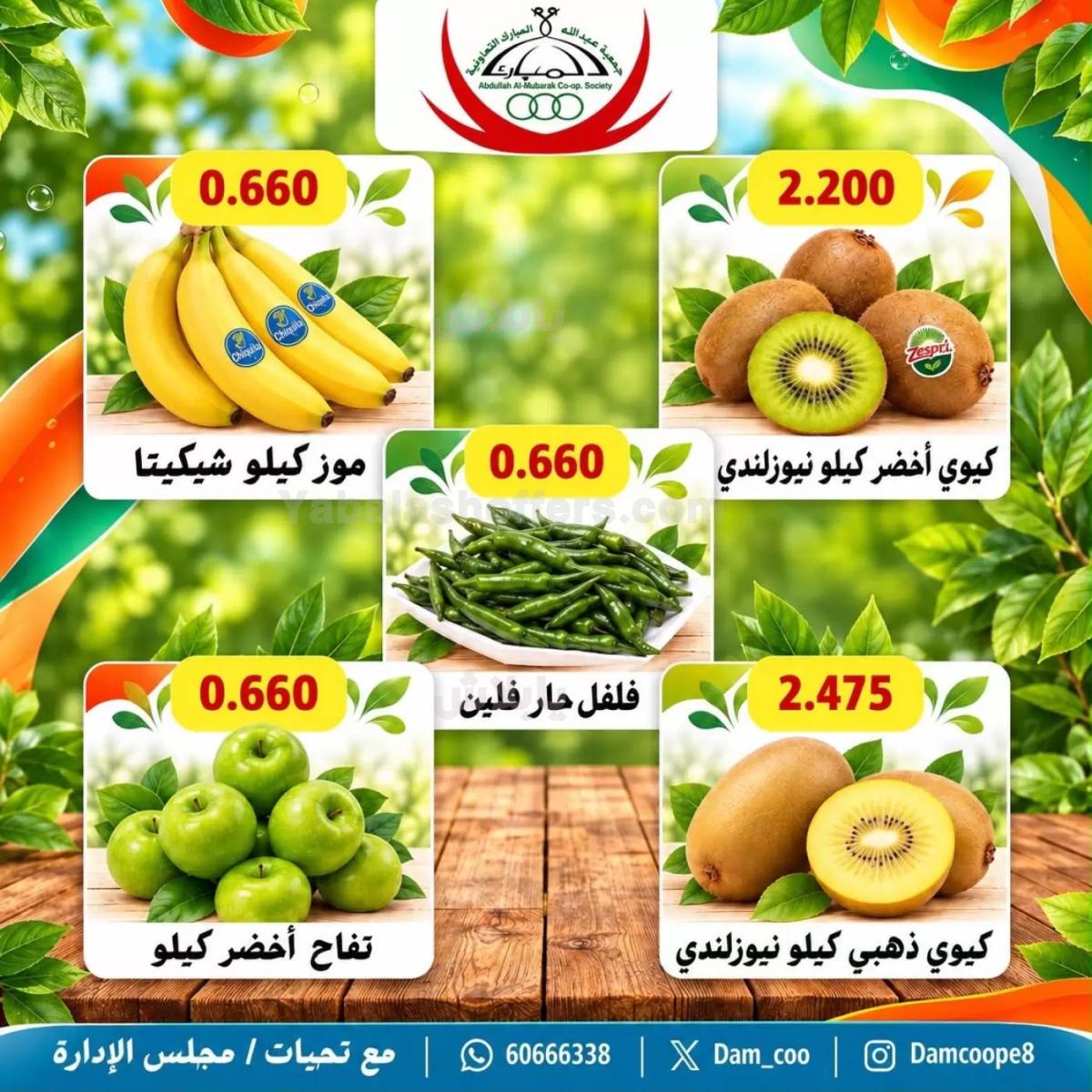 صفحة 7