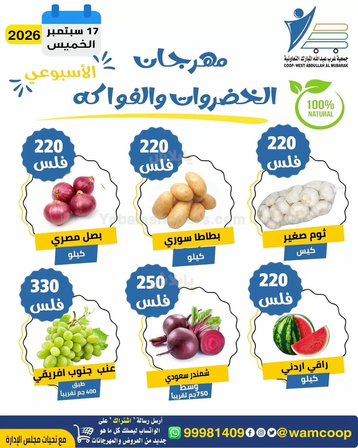 صفحة 2