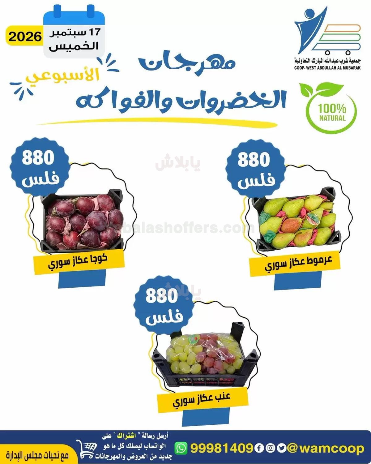 صفحة 7