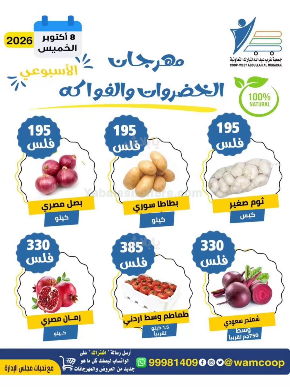 صفحة 2