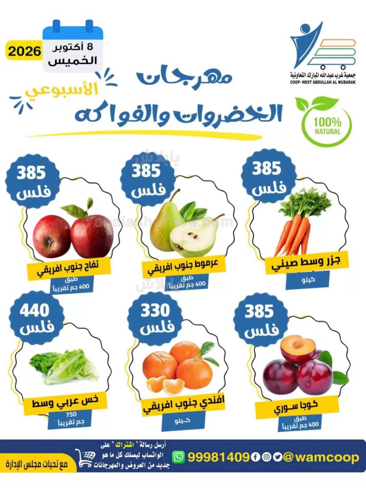 صفحة 3