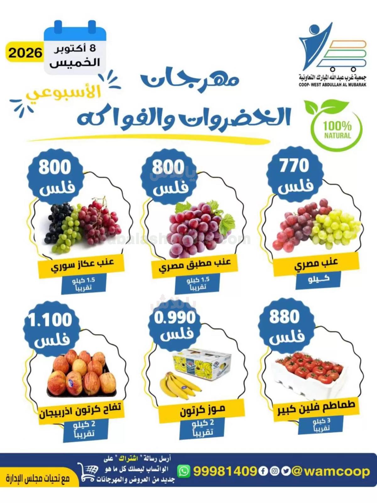 صفحة 6