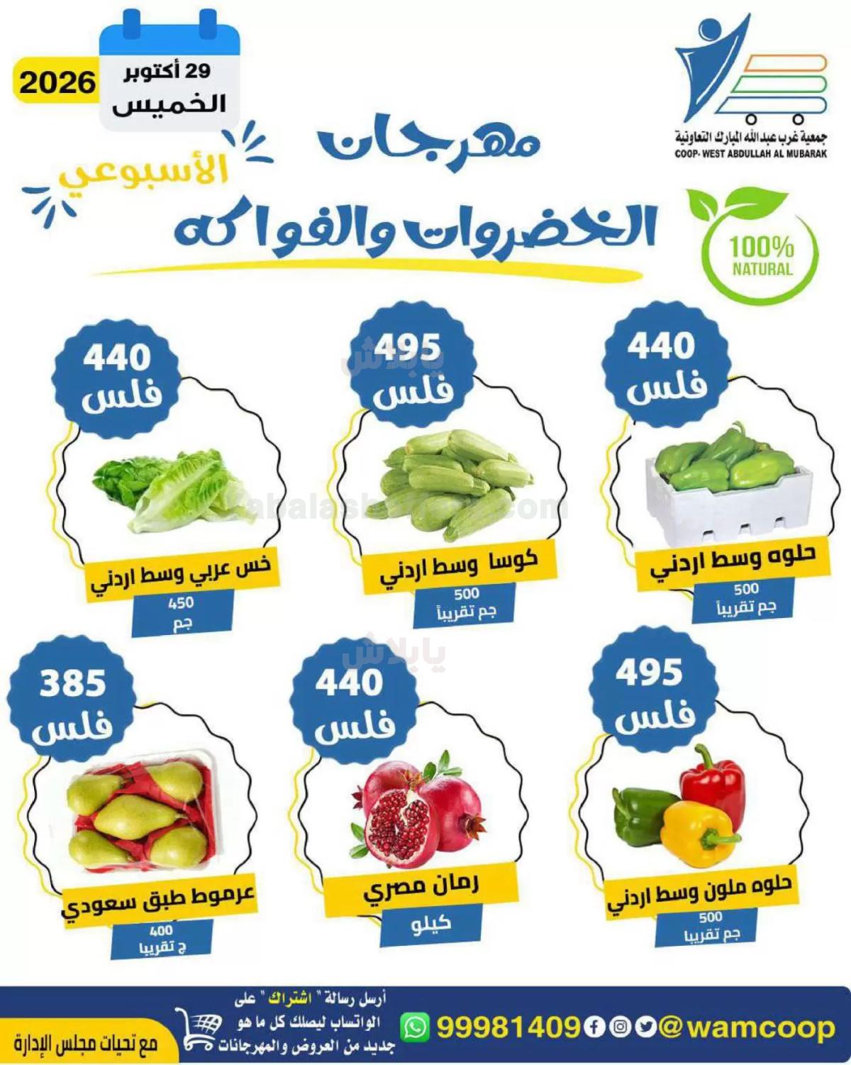 صفحة 3