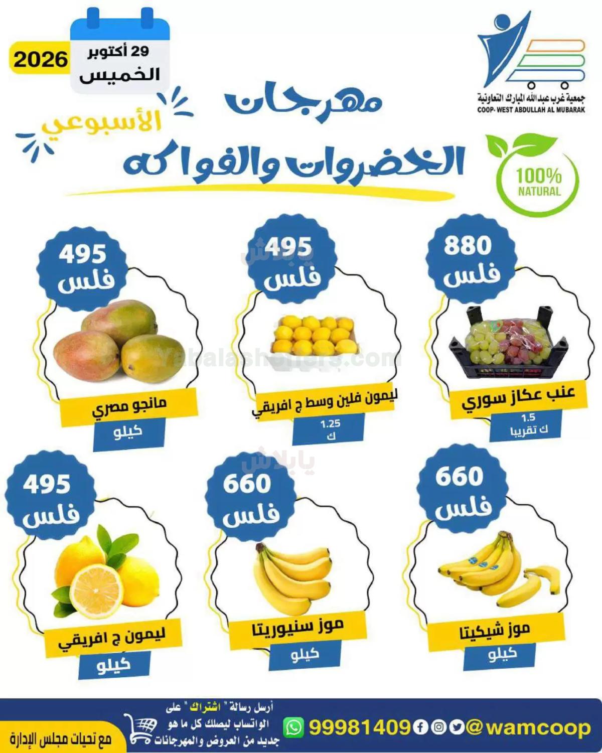 صفحة 5