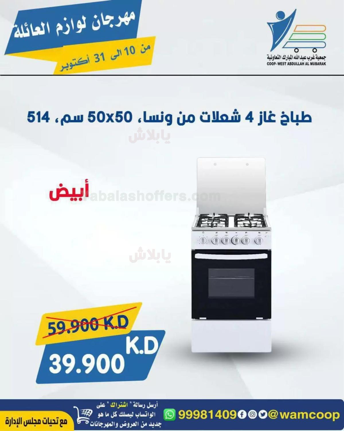 صفحة 41