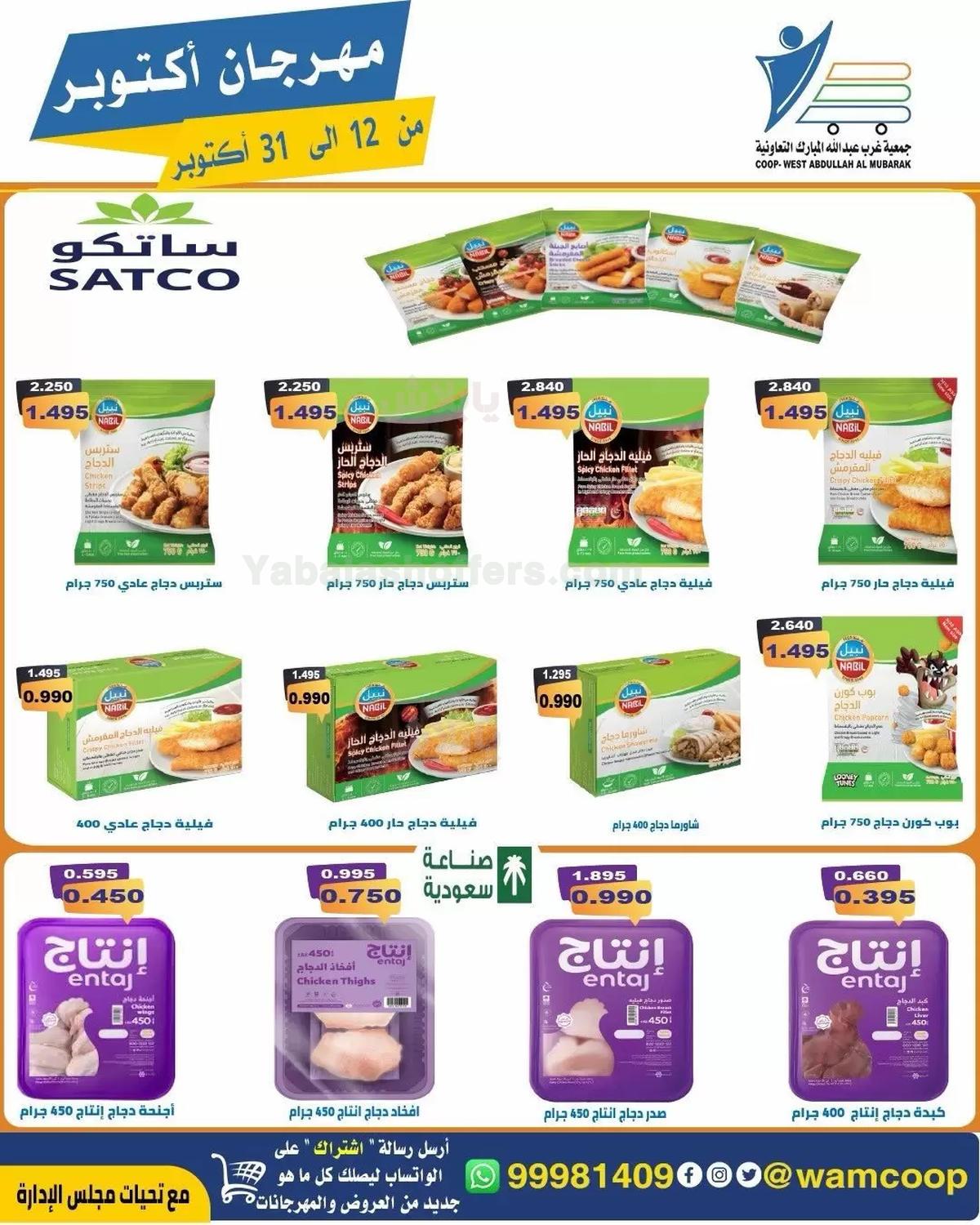 صفحة 11