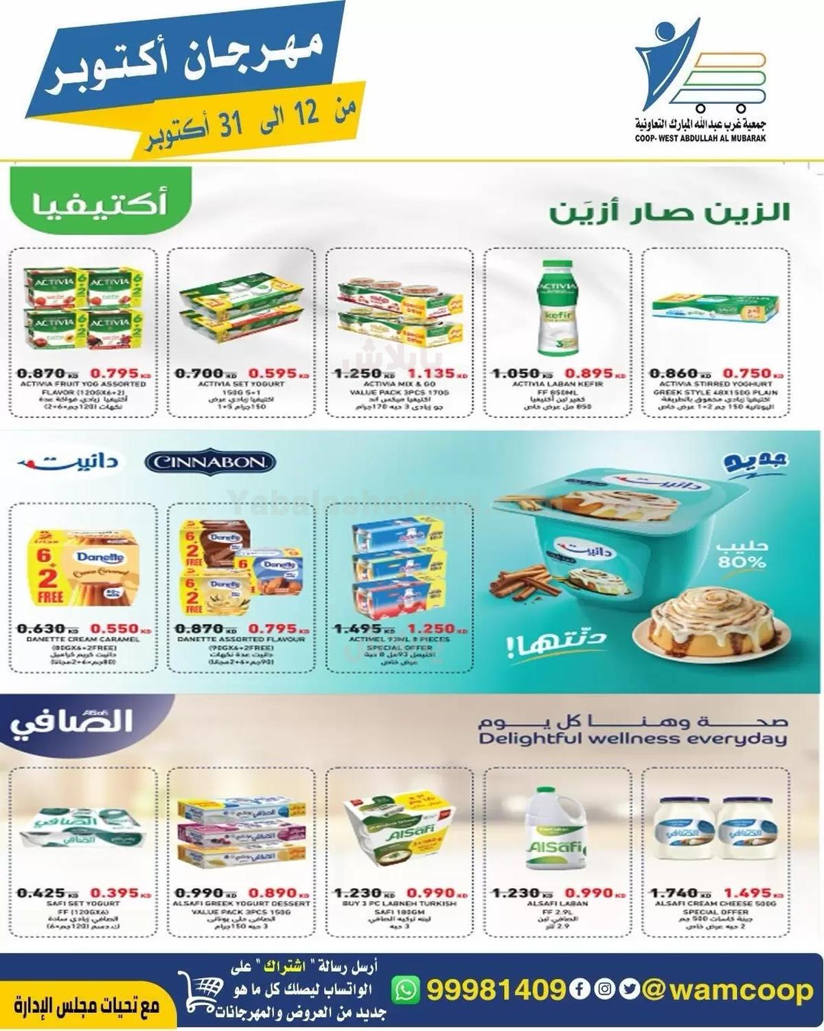 صفحة 13