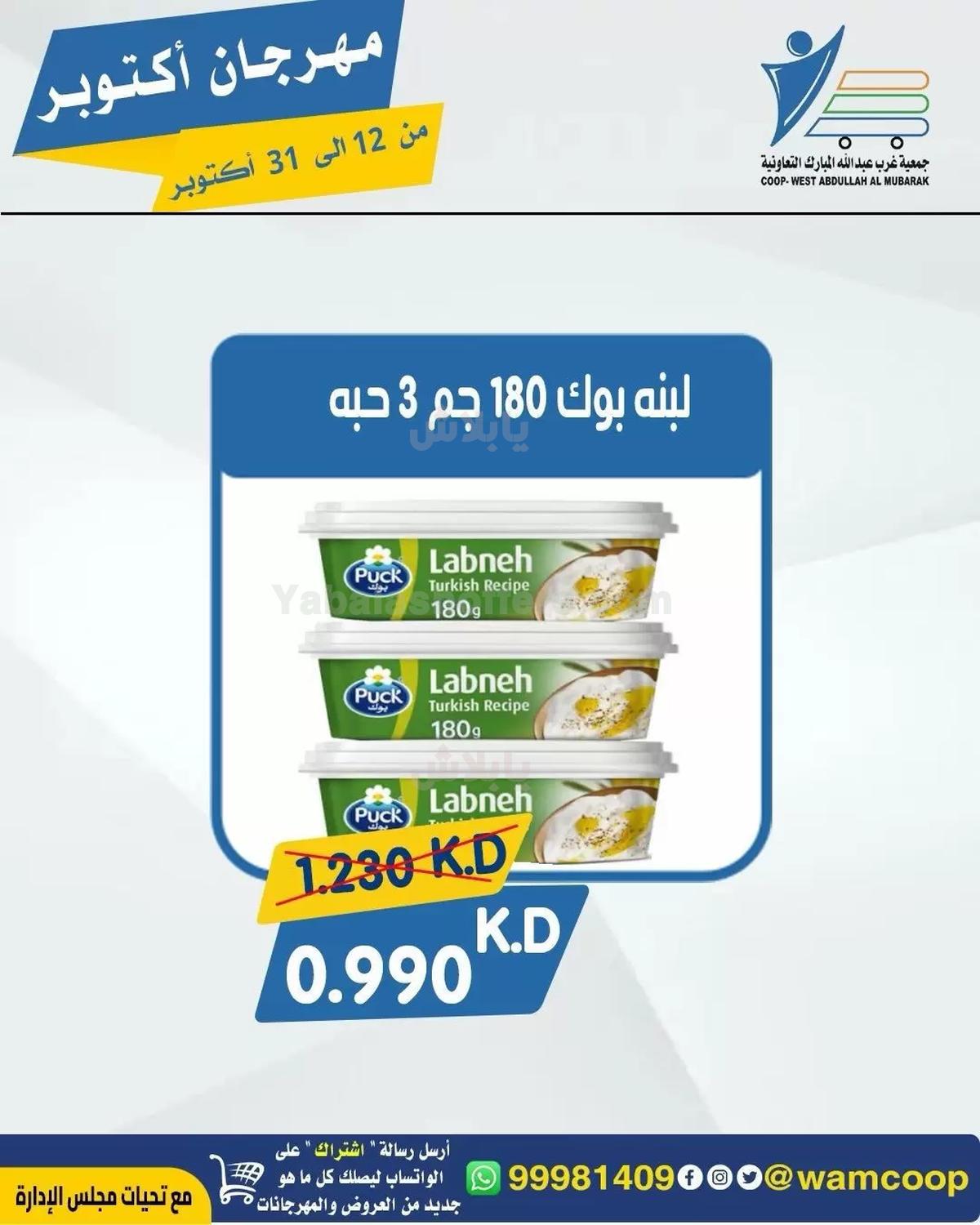 صفحة 15