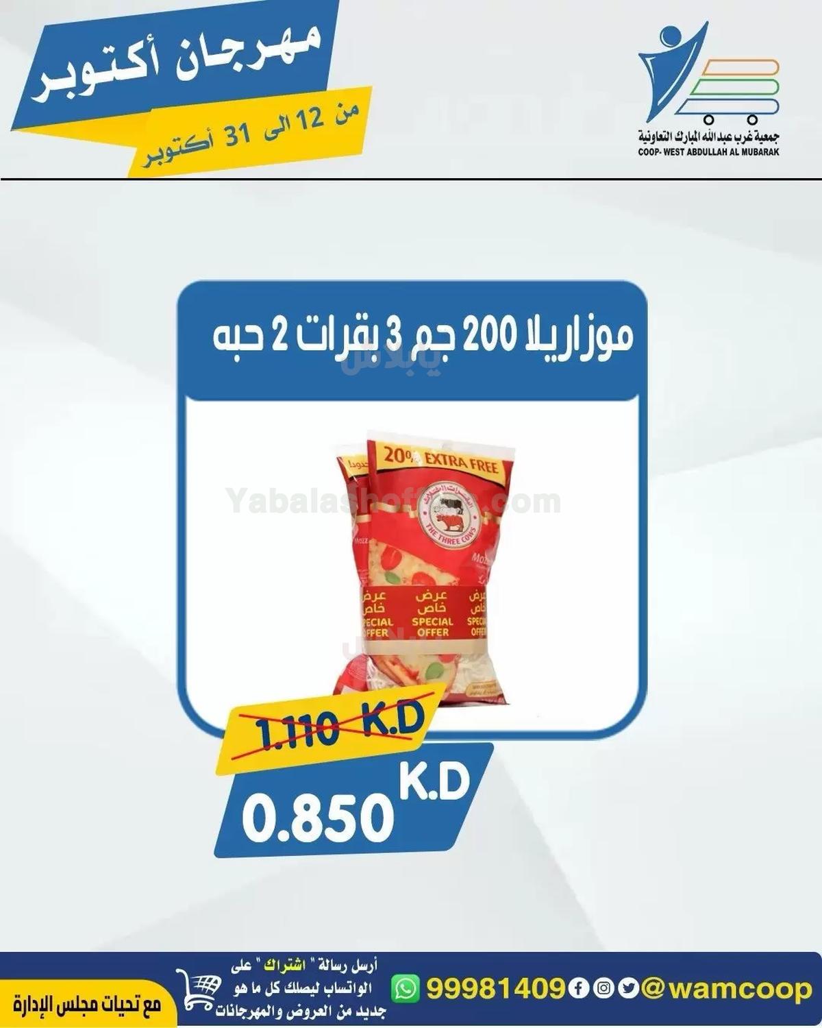 صفحة 16