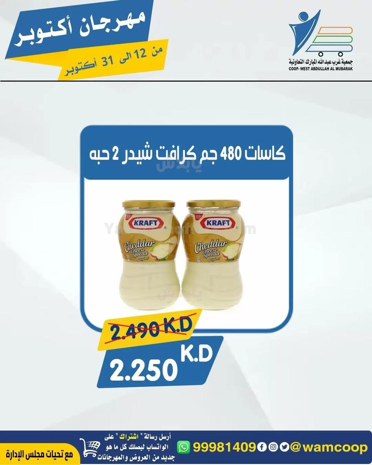 صفحة 17