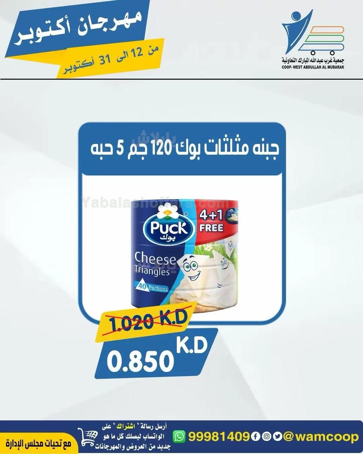 صفحة 19