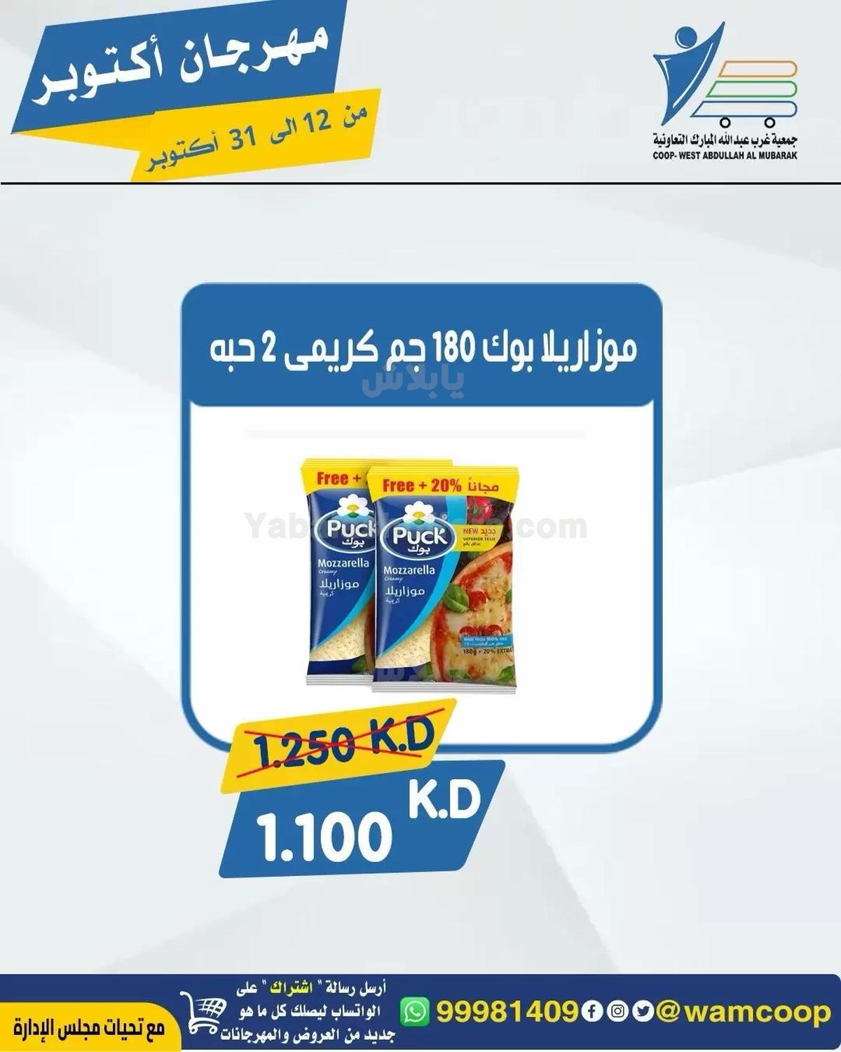 صفحة 21