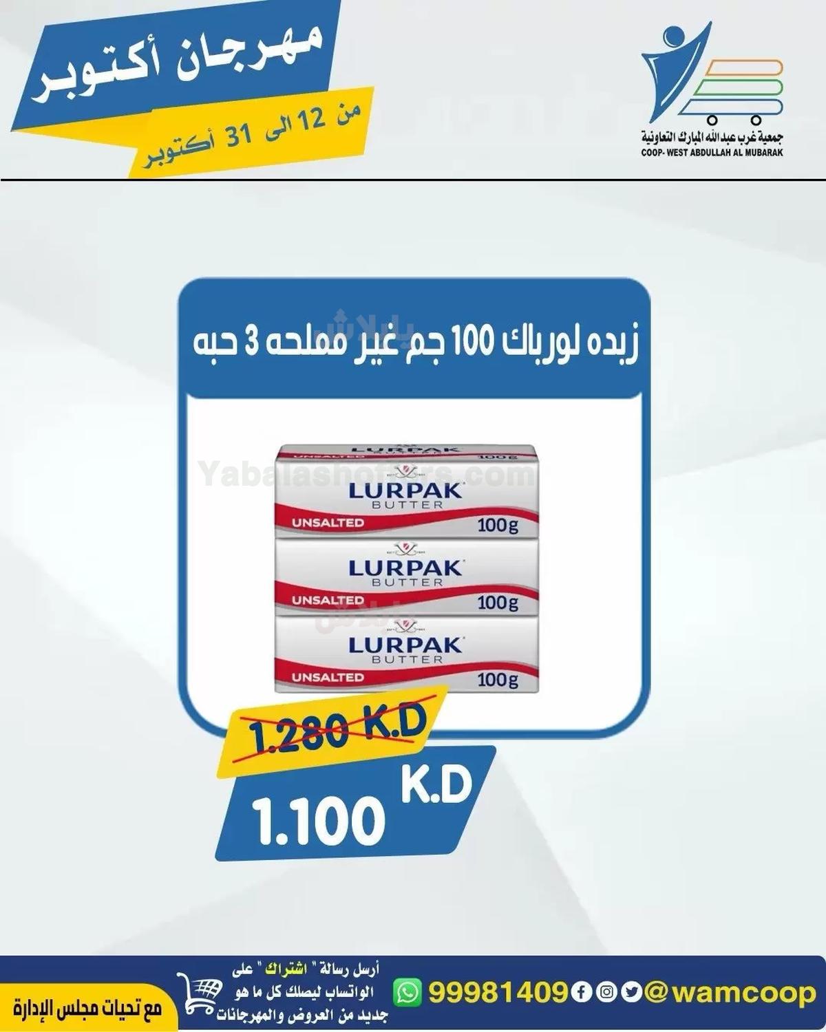 صفحة 25