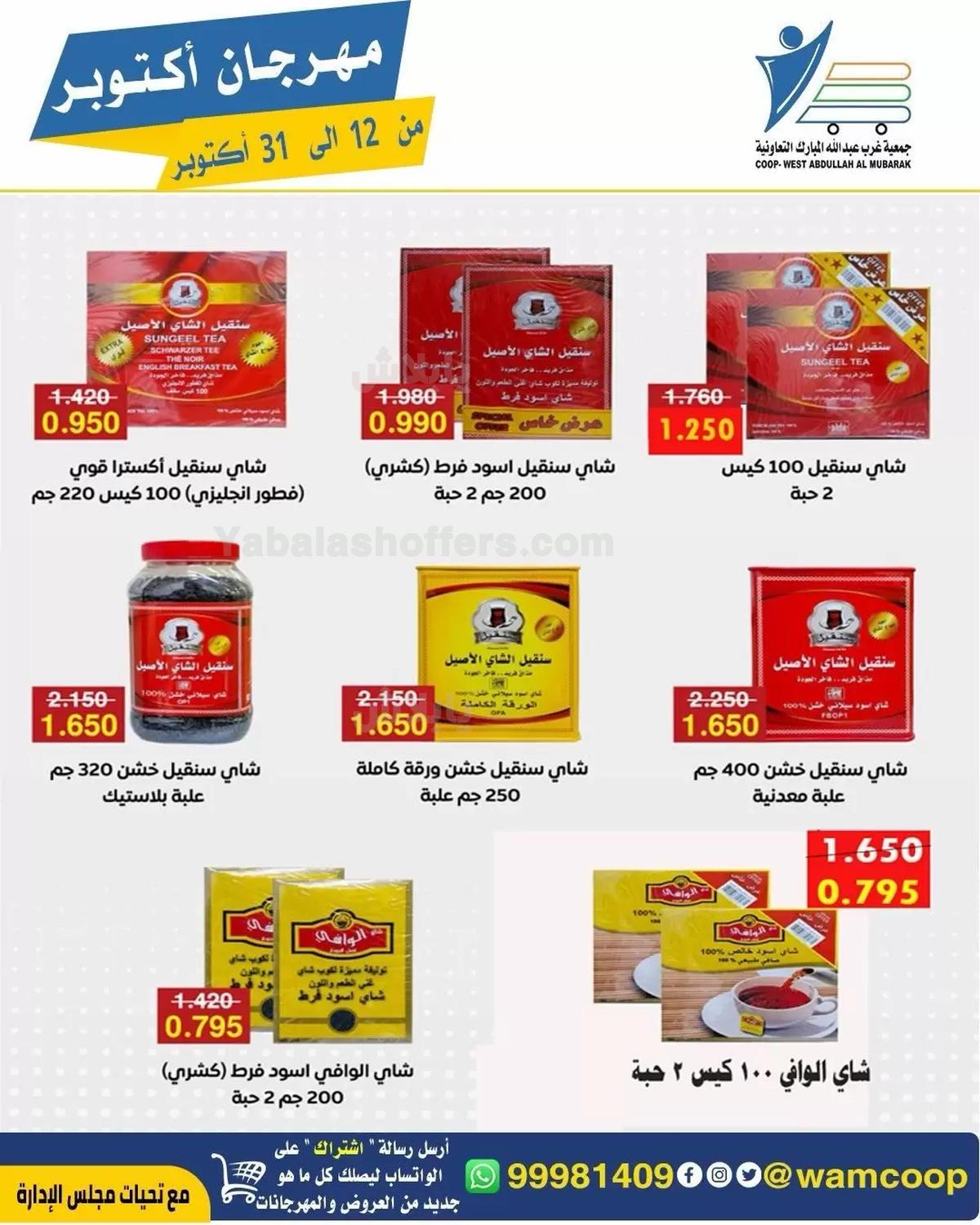 صفحة 41