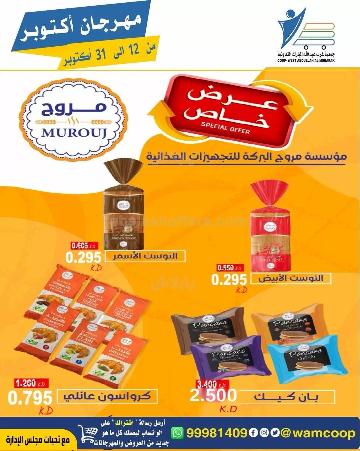 صفحة 61