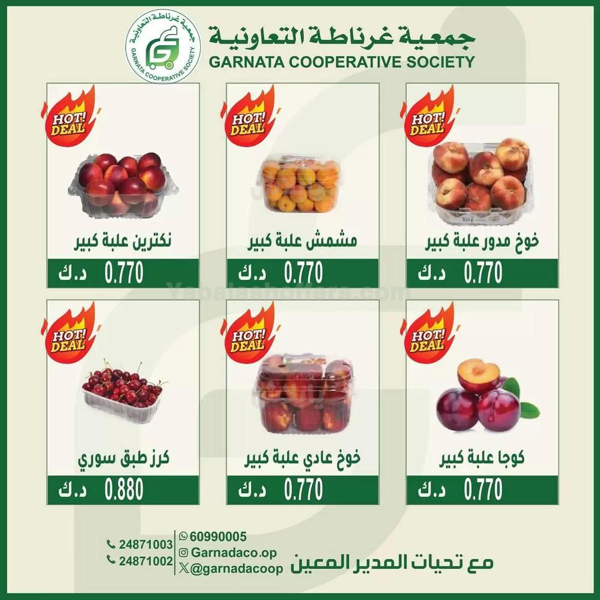 صفحة 5