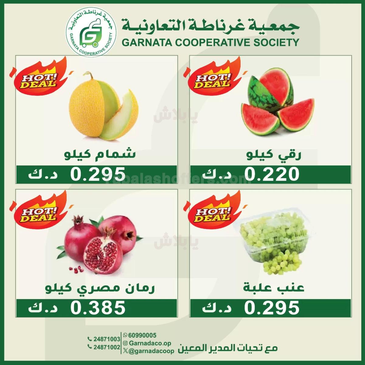 صفحة 4