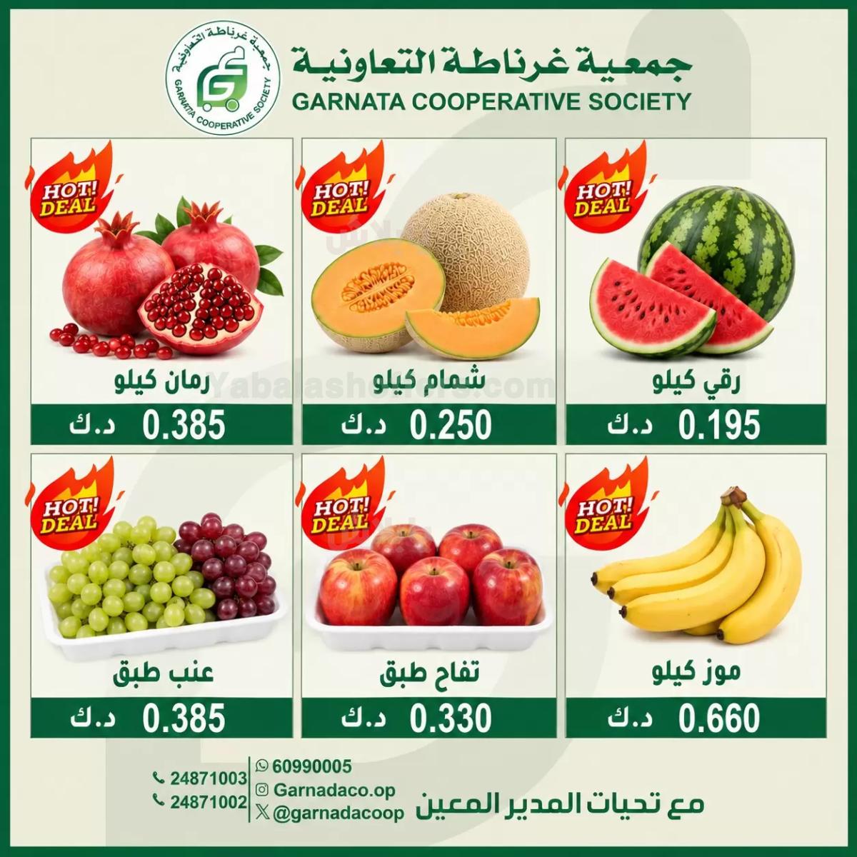 صفحة 4