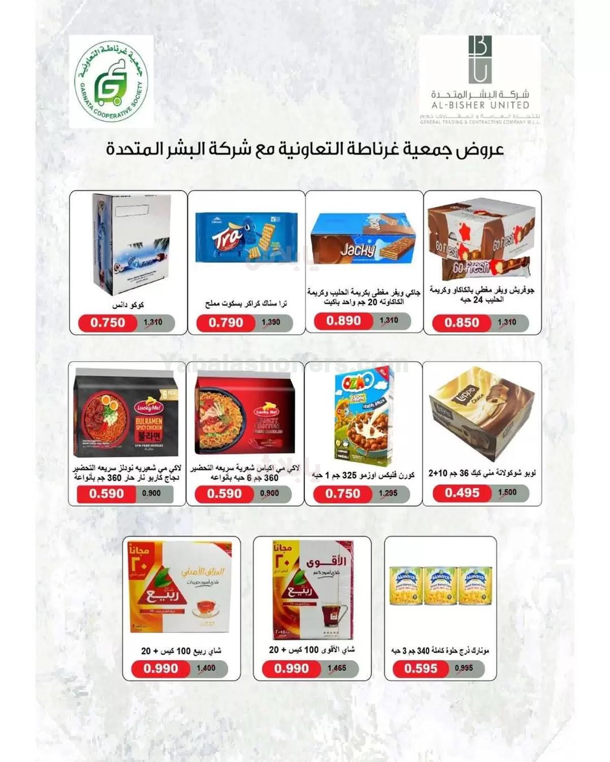 صفحة 13