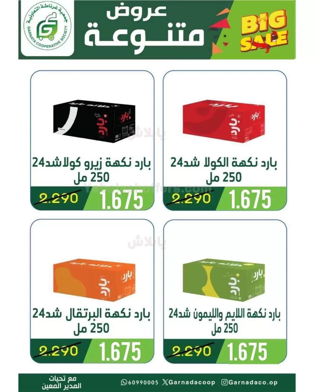 صفحة 17