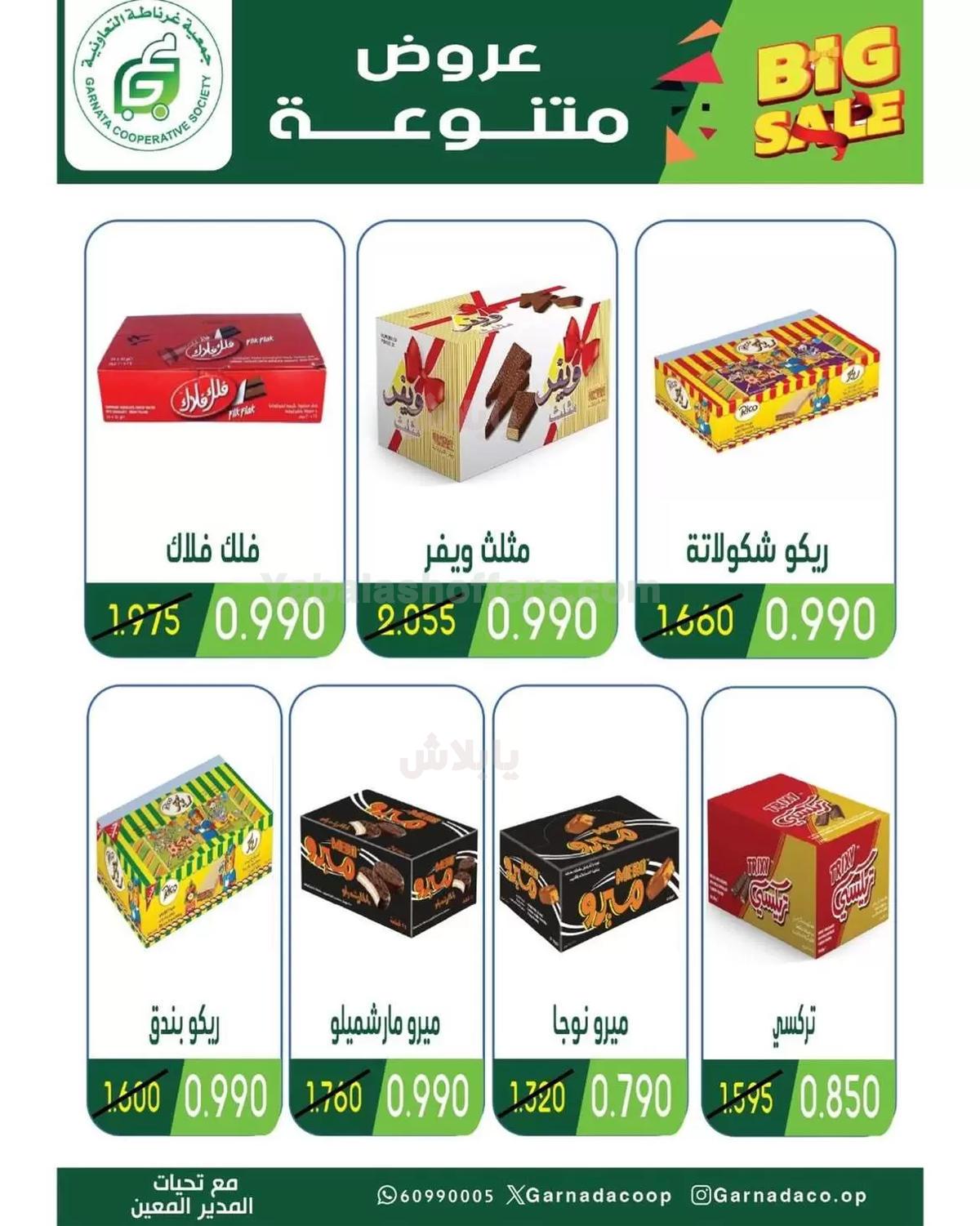 صفحة 13