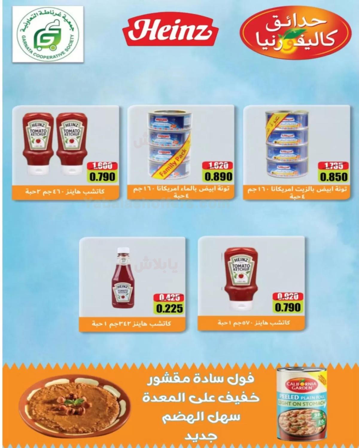 صفحة 10