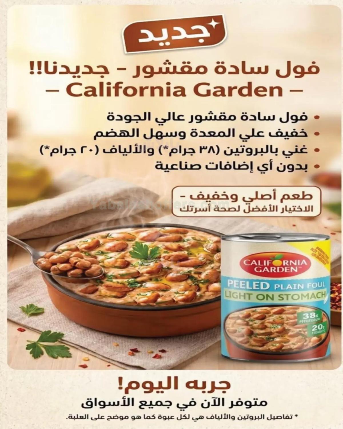 صفحة 11