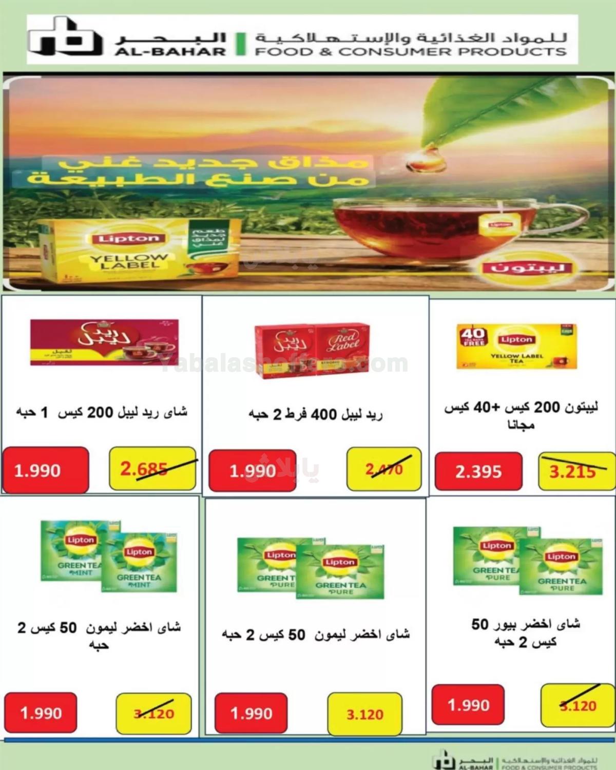 صفحة 24
