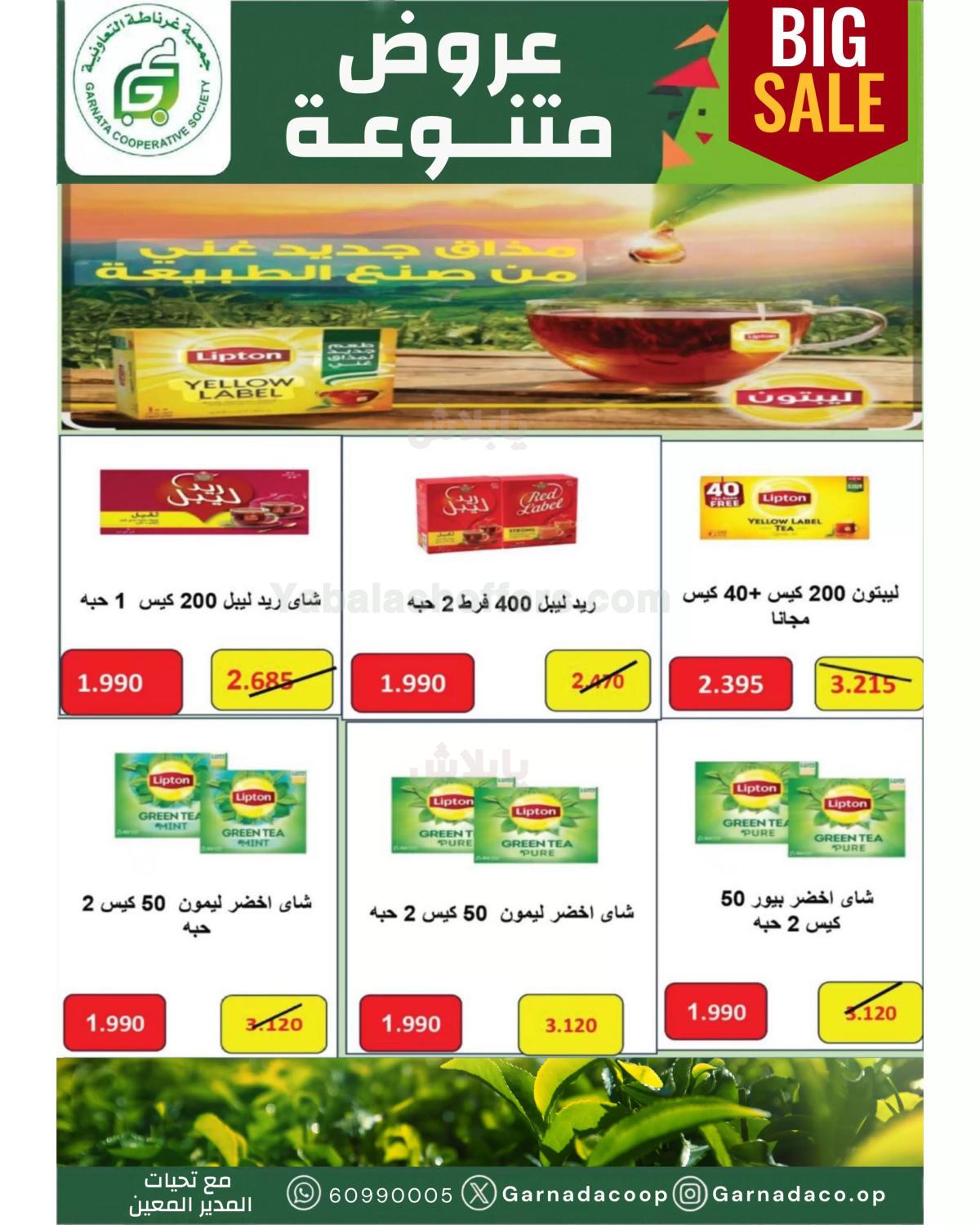 صفحة 19