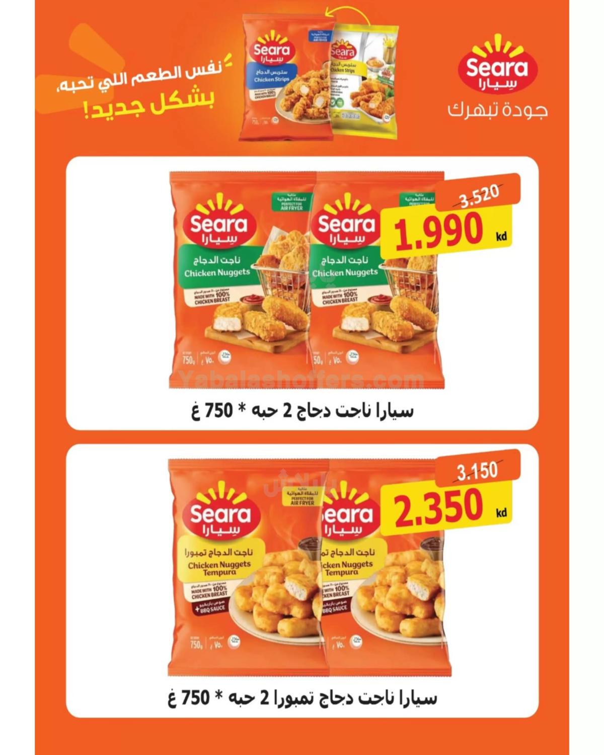 صفحة 24