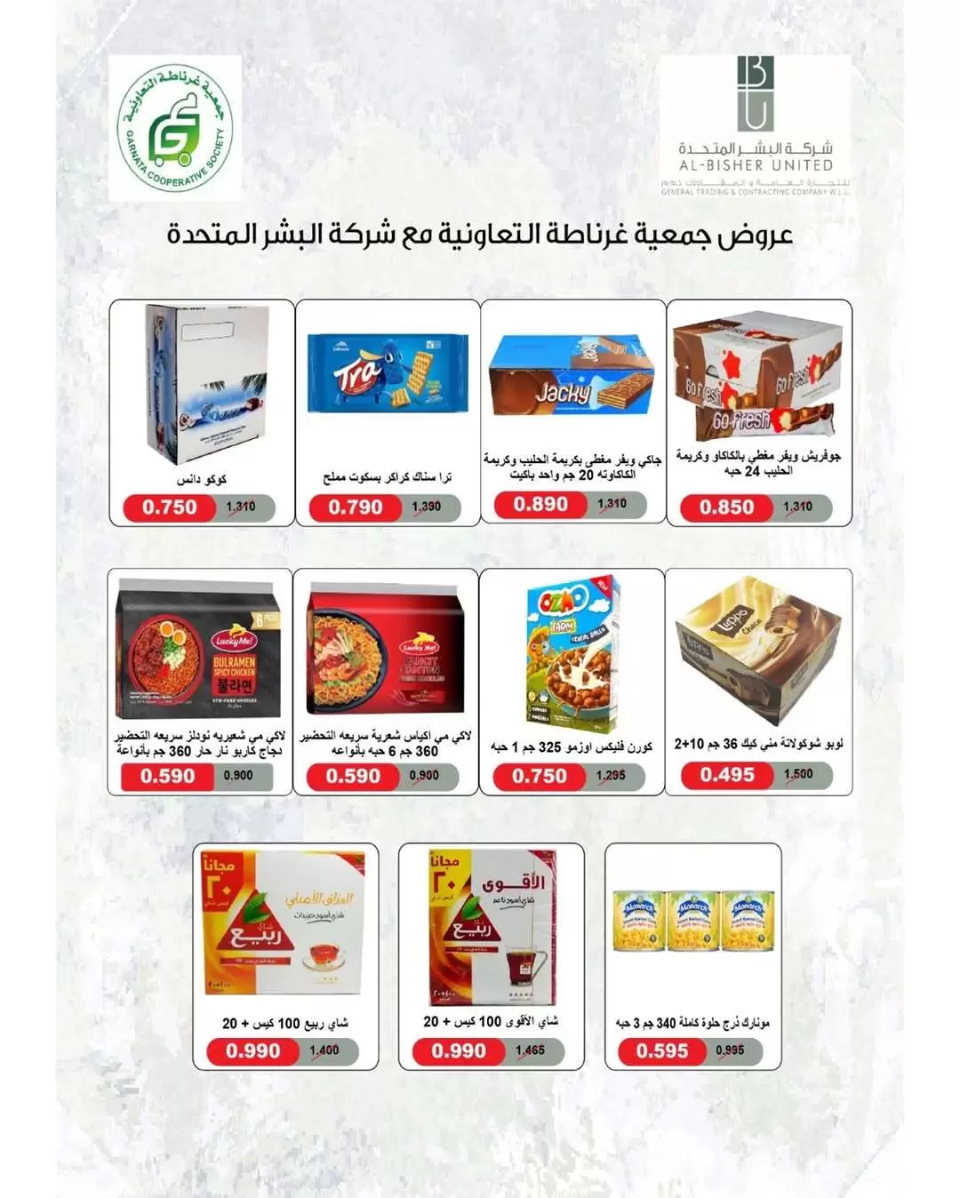 صفحة 13