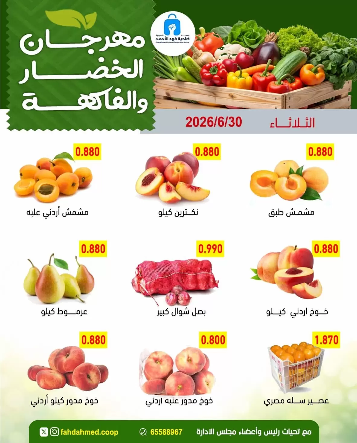 صفحة 4