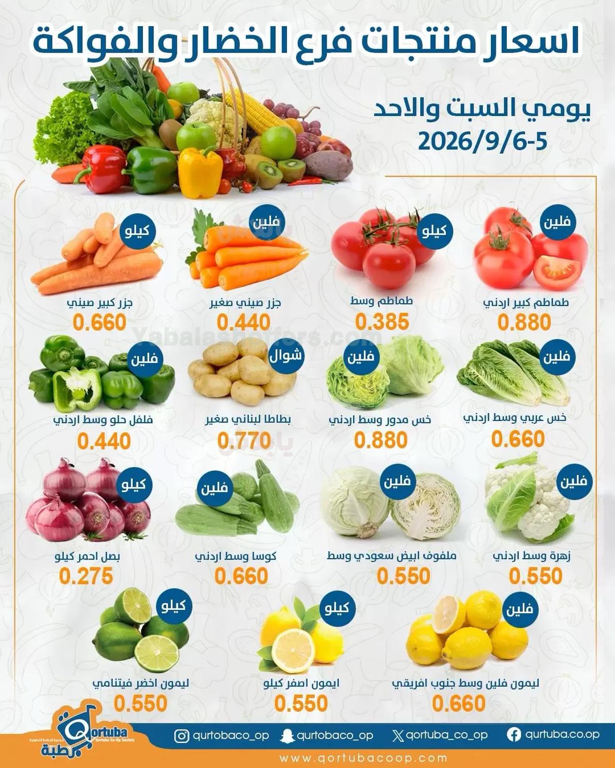 صفحة 1