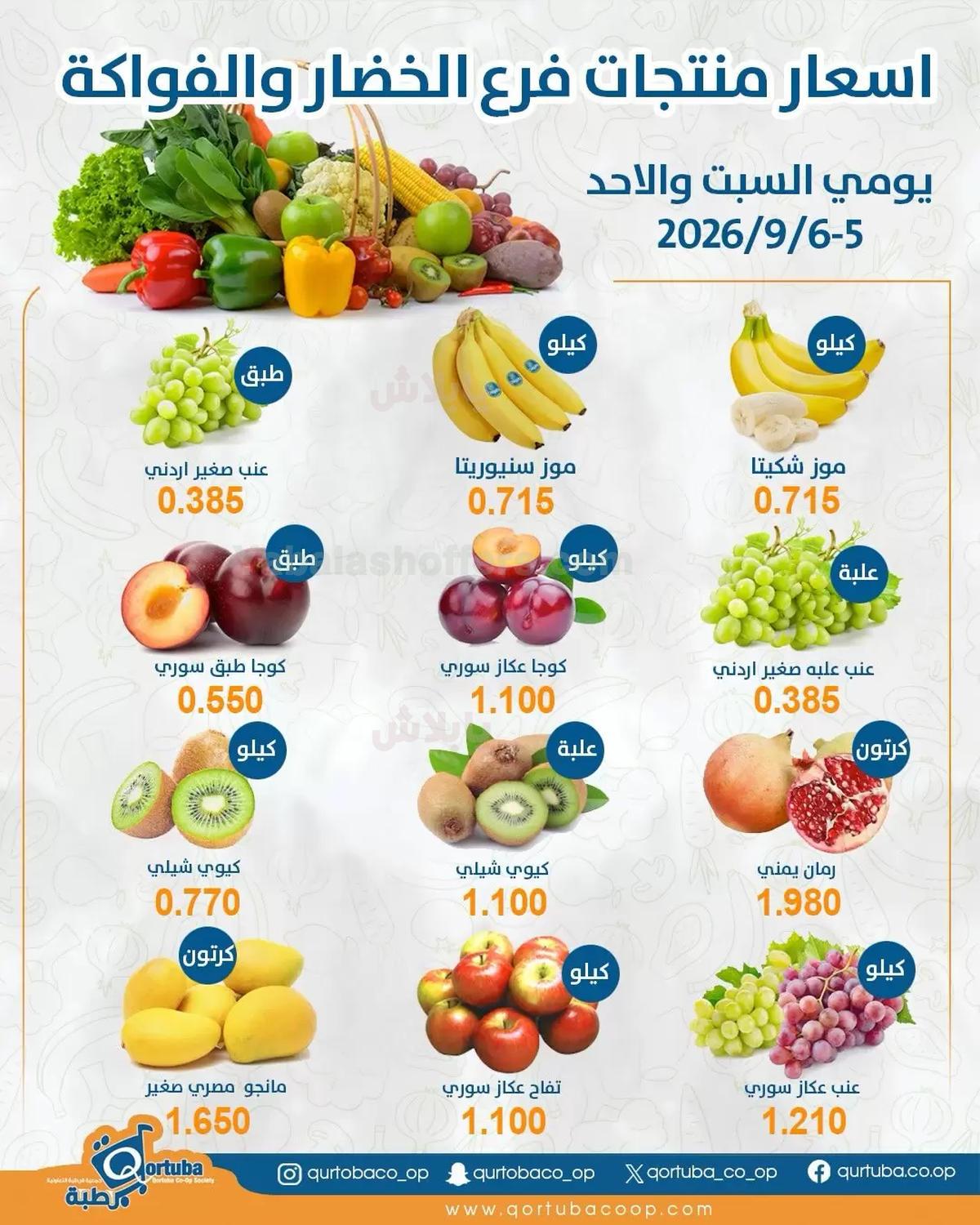 صفحة 3