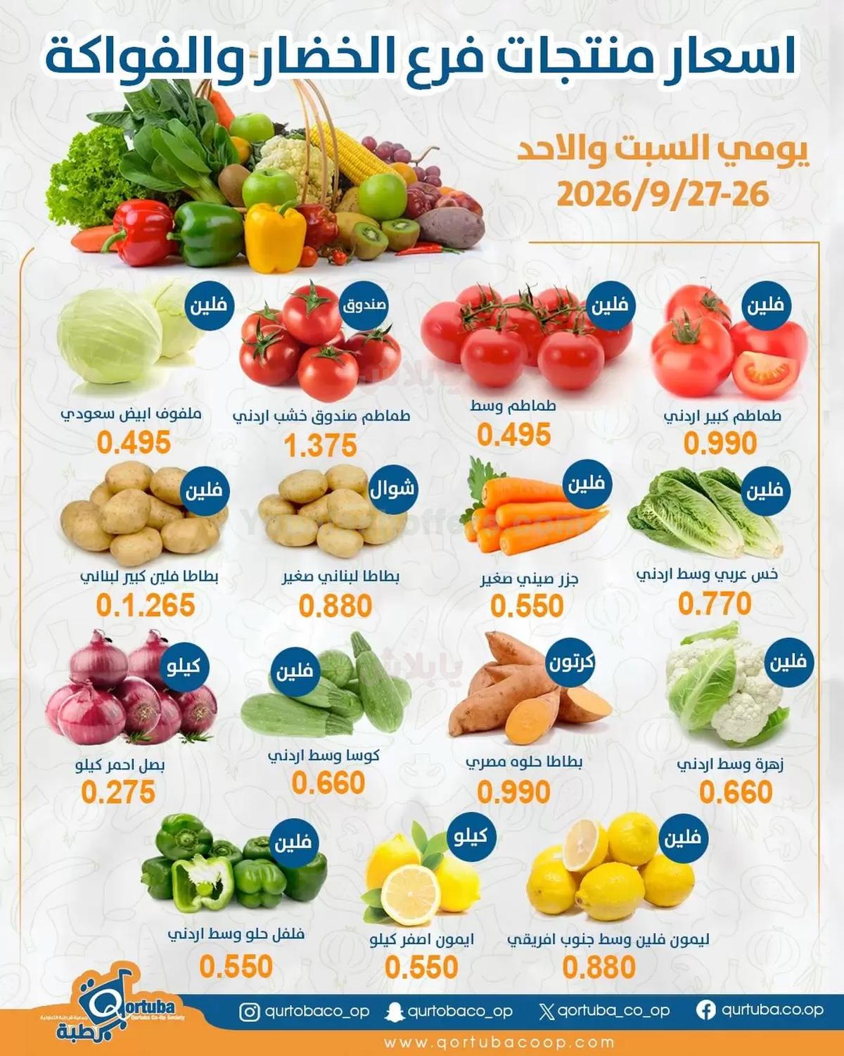 صفحة 1