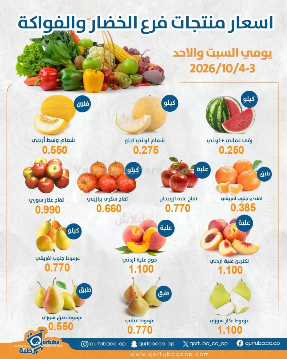 صفحة 3