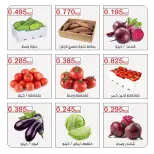 صفحة 11