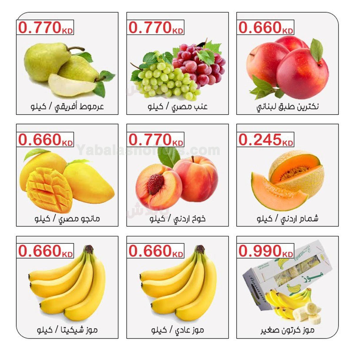 صفحة 5