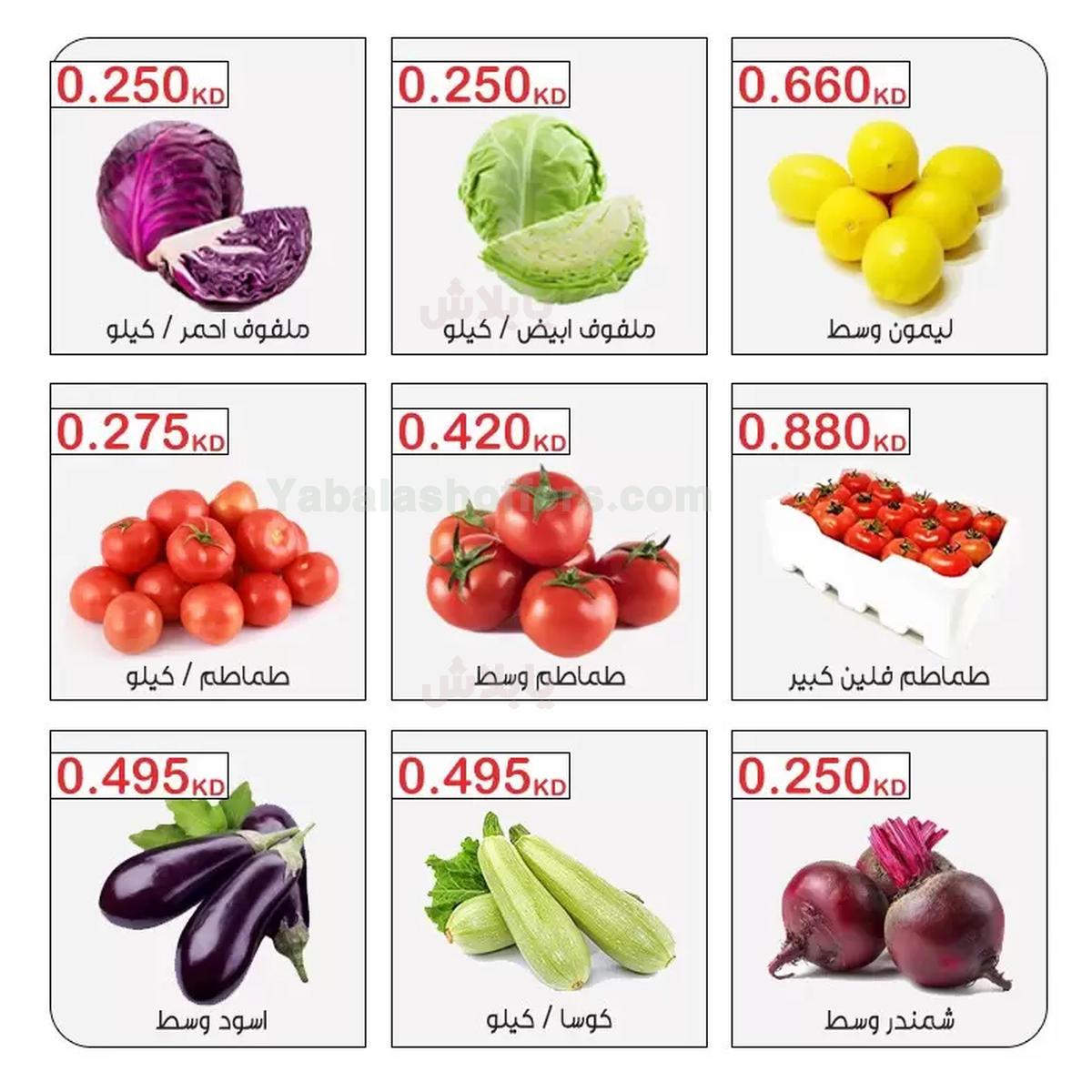 صفحة 2