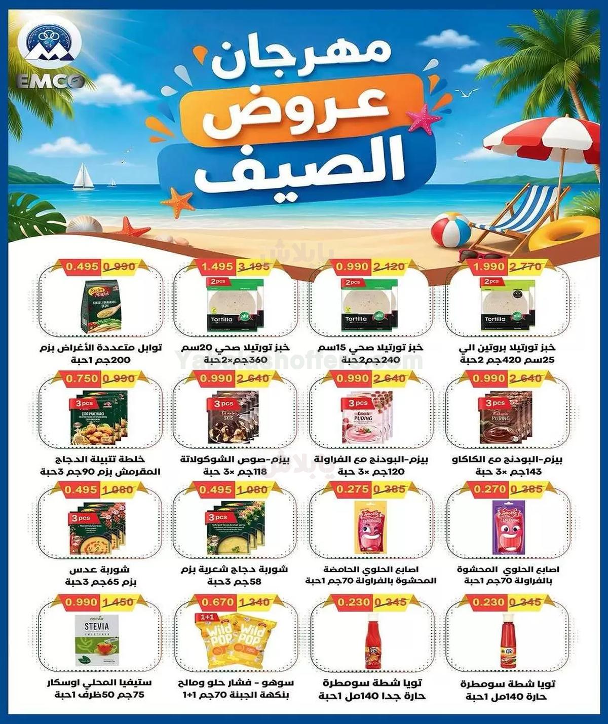 صفحة 24